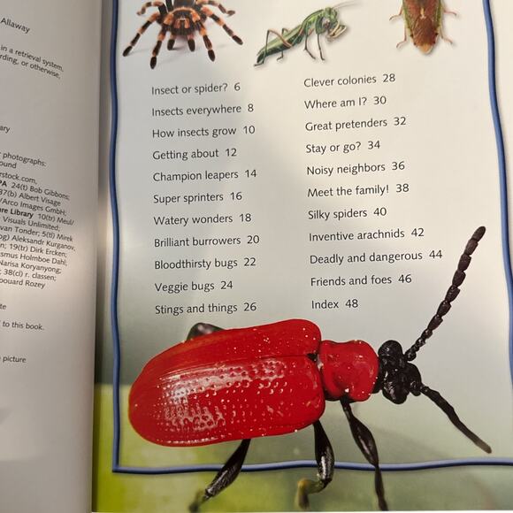100 Facts Bugs by Miles Kelly - Very Good Condition - Picture 4 of 4
